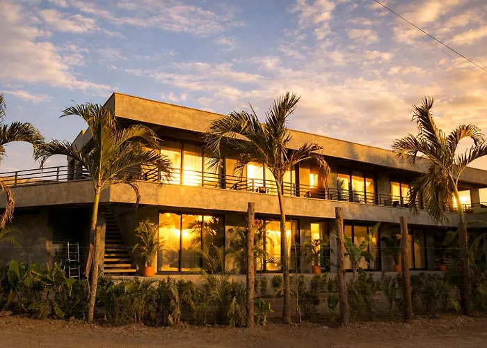 Palomino Sunrise