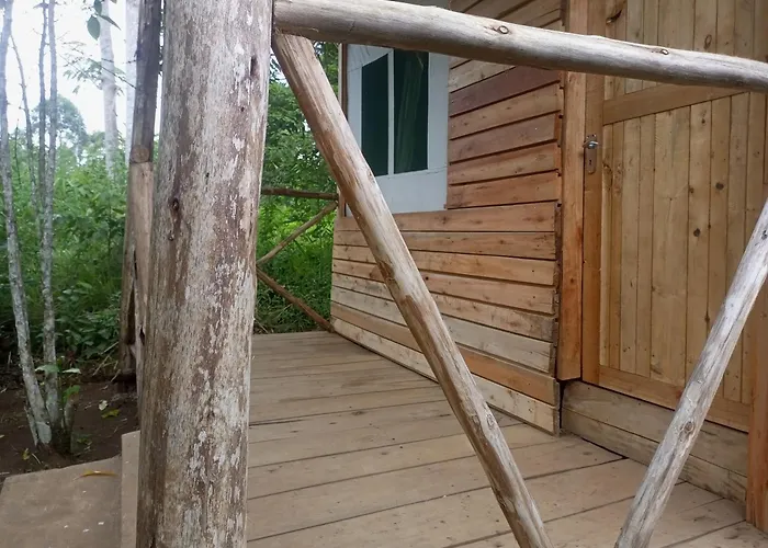 Little Monkey Camp
