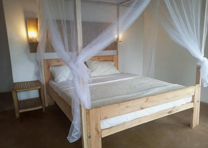 Little Monkey Camp