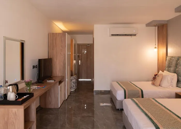 Seti Sharm Palm Beach Resort Families And Couples Only