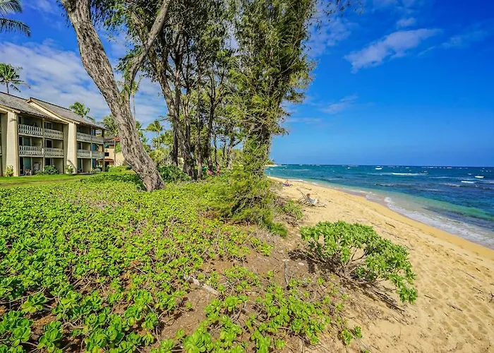 Islander On The Beach 339
