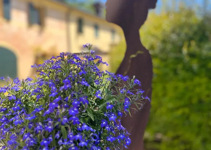 Hotel Donna Lucia