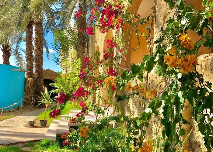 Arkan Siwa أركان سيوة