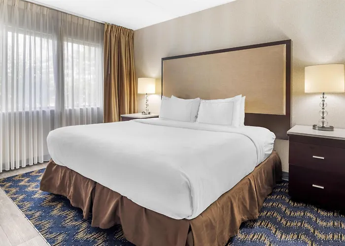 Best Western Plus Miamisburg-Dayton Suites, Banquets & Hotel