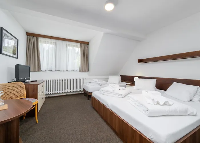 Horsky Hotel Jelinek