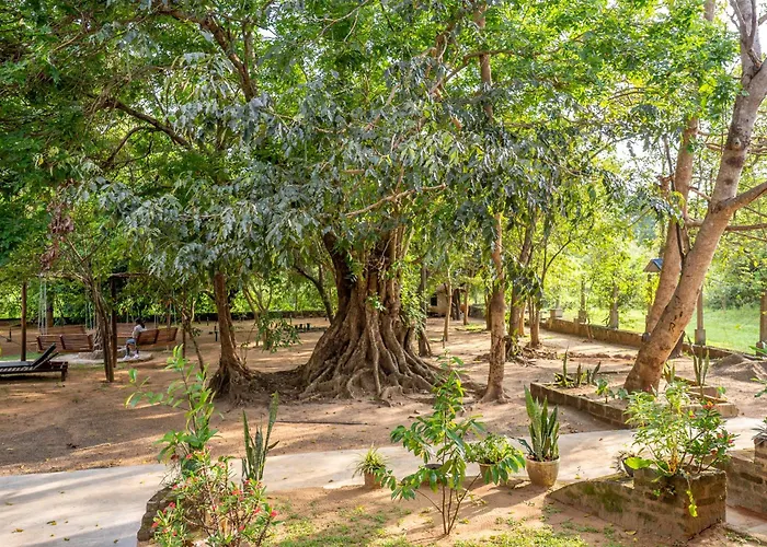 Into The Wild Sigiriya