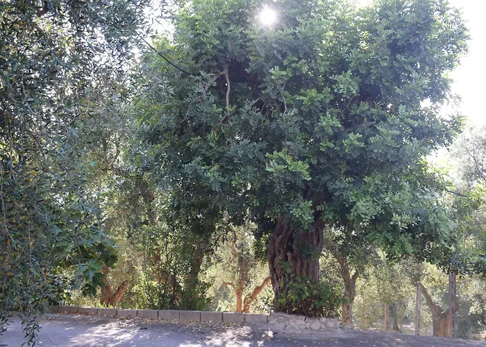 Villaggio Albergo 2 Pini