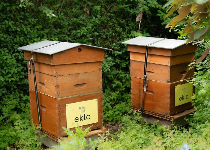 Eklo Hotels Lille