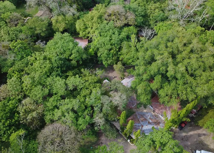 El Bosque Hotel