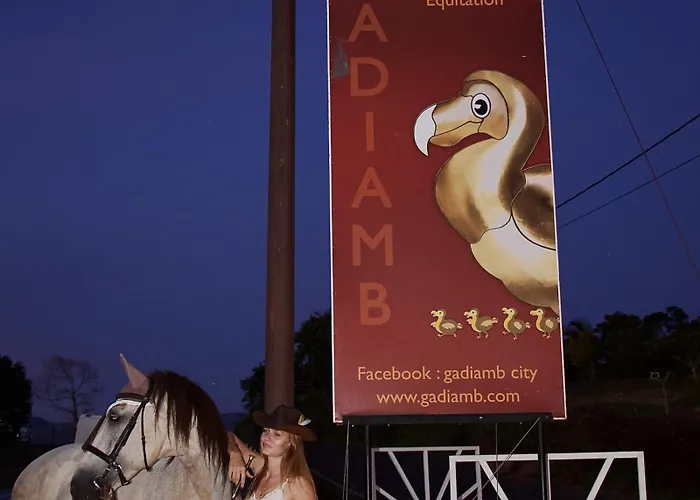 Gadiamb City