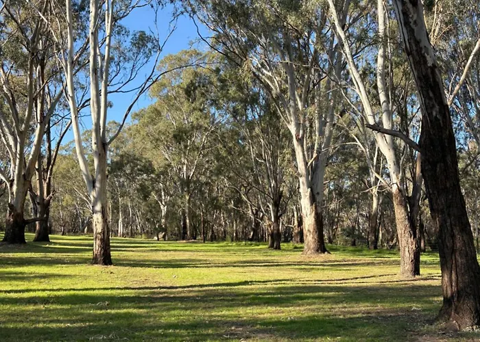 Rivergum Holiday Park