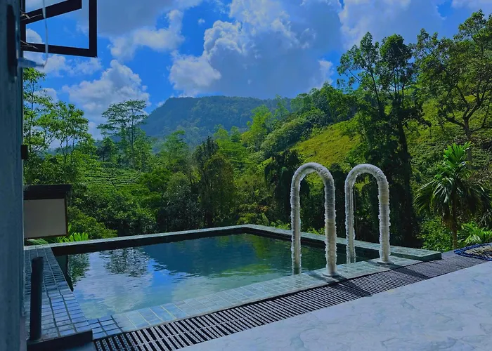 Rainforest Cabin
