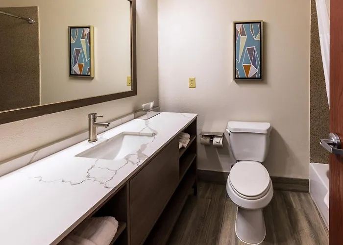 Comfort Inn & Suites New Iberia - Avery Island