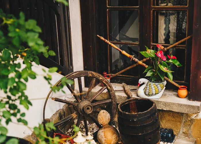 Oazis Family Hotel