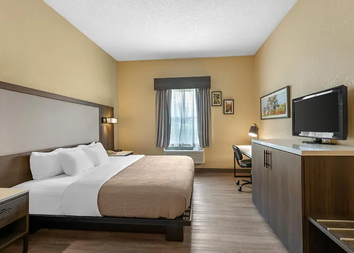 Quality Inn & Suites Bellville - Mansfield
