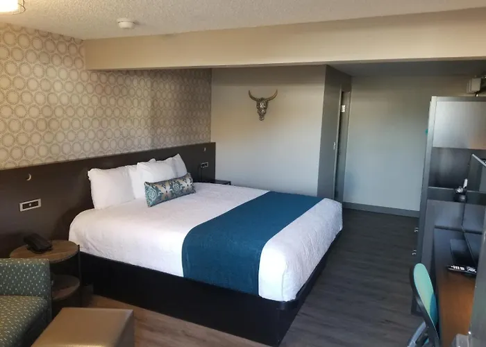 The Hotel Y, A Dazzler Select By Wyndham