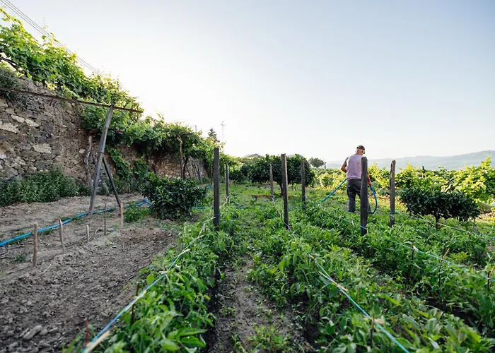 Quinta de Santa Cruz - Douro Land