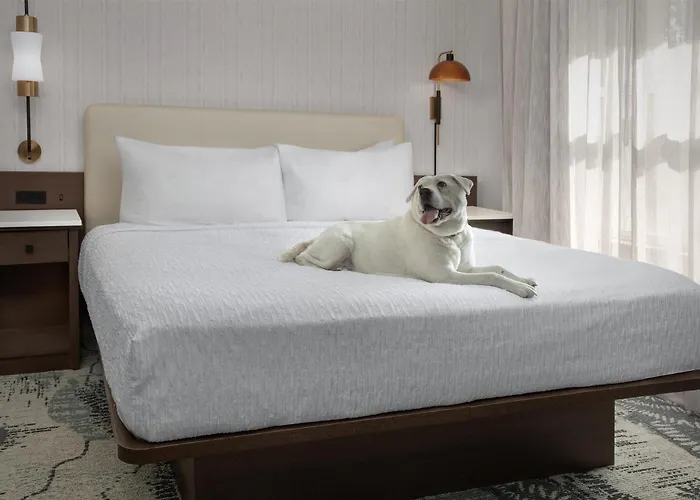 Homewood Suites By Hilton Cleveland-Solon