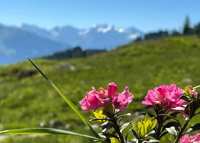 Berggasthof Platzlalm