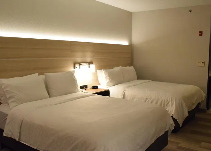 Holiday Inn Express Hotel & Suites Rochester Webster By Ihg