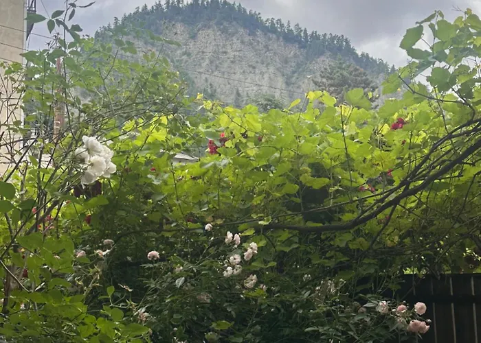 Borjomi Central