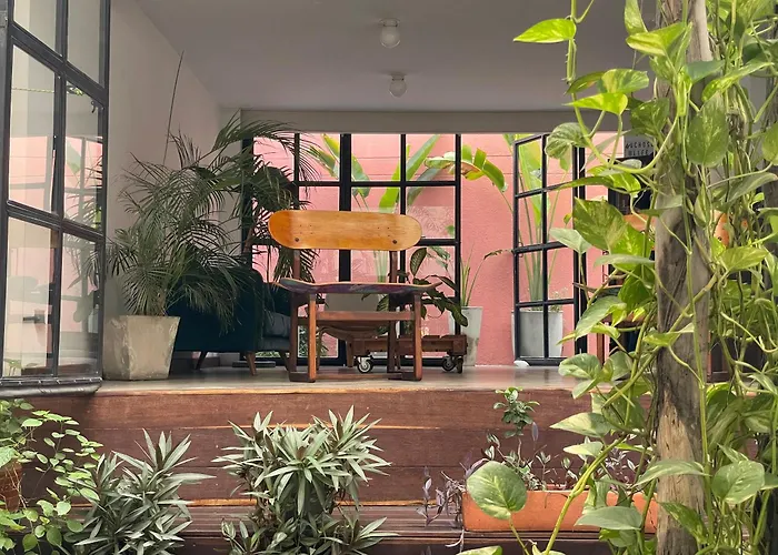 Muchosur Santa Marta