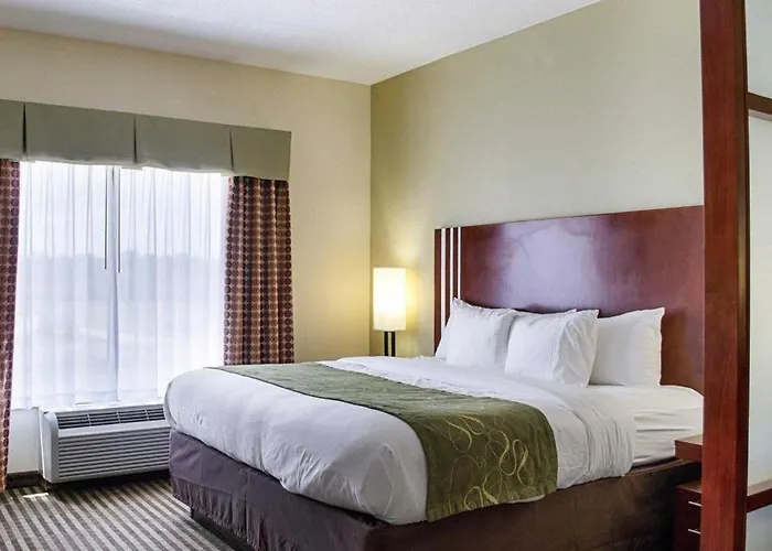 Comfort Suites Greenwood