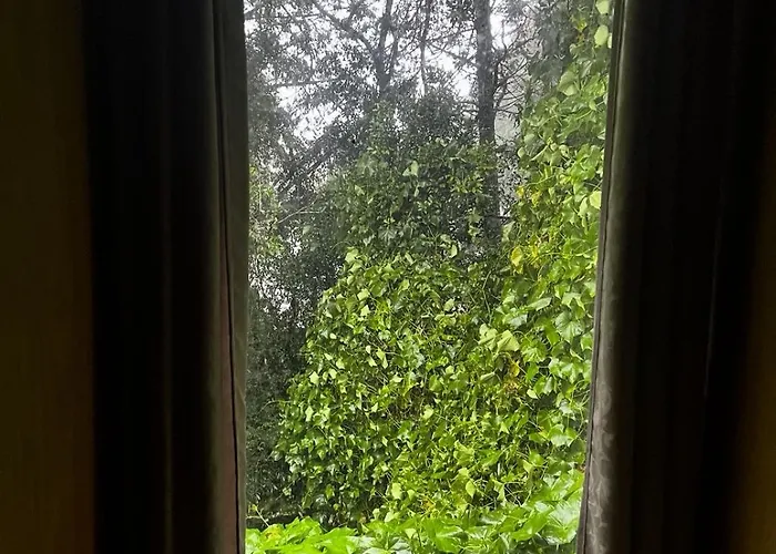 Hotel pousada Borda do campo - Descanso em harmonia com a natureza