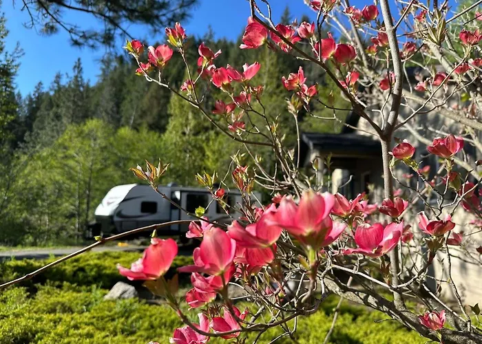 Jubilee Railroad Wilderness Lodge