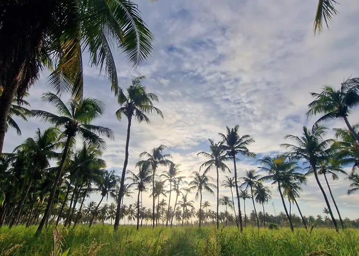 Ocean Vida Maldivas