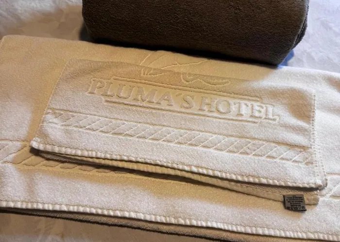 Plumas hotel