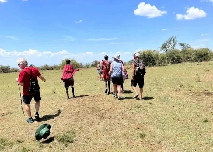 Wild Enthusiasts Camps