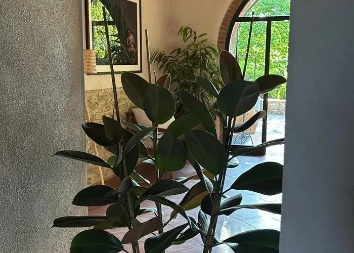 Holistic Hotel Madreselva