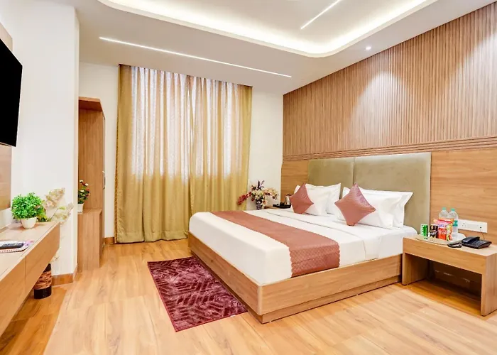 Sky Nest Plaza Inns Near Delhi International Airport