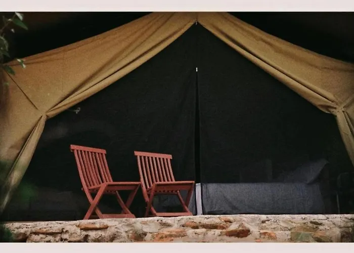 Wild Enthusiasts Camps
