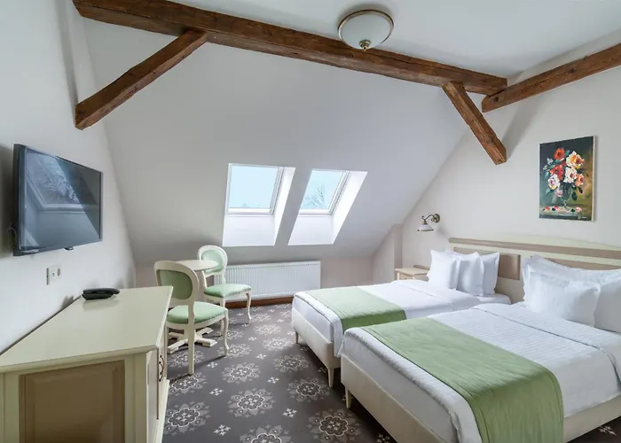 Hotel Leul De Aur