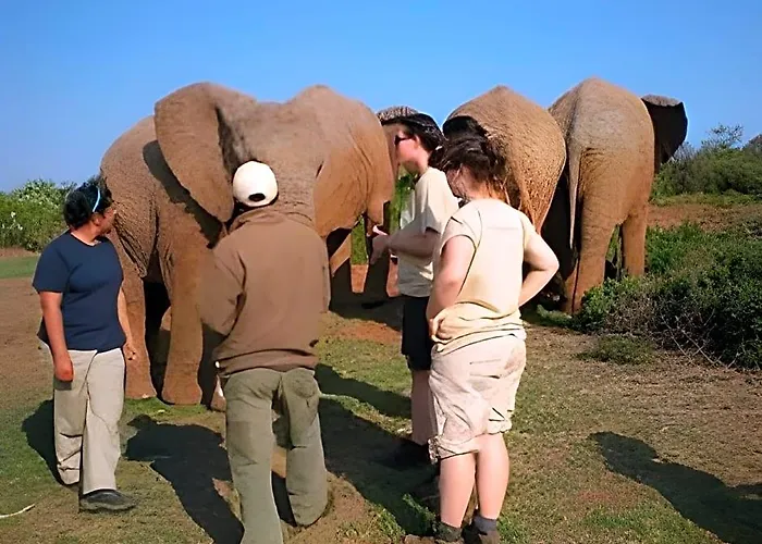 Kwantu Private Game Reserve