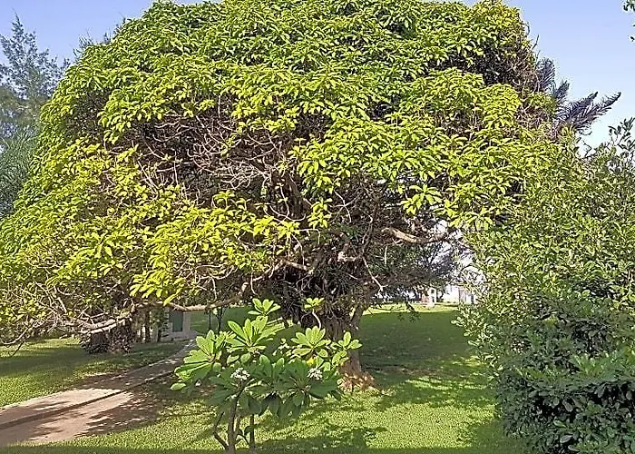 Kairaba Hotel
