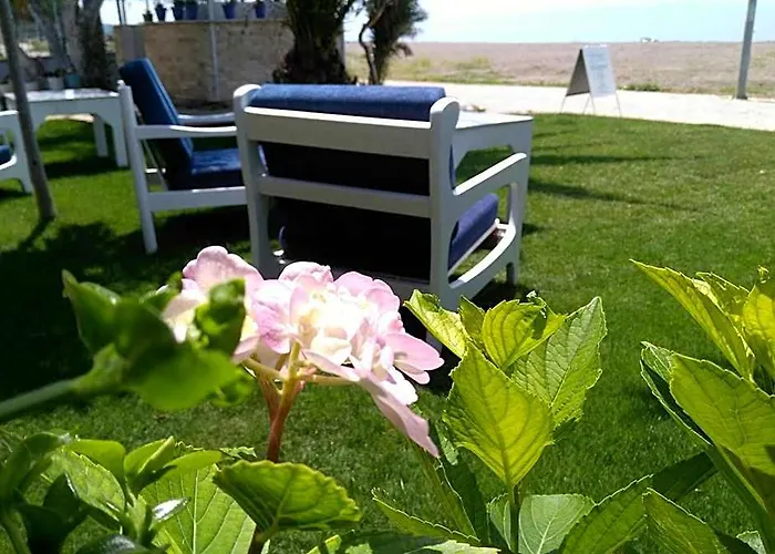 Palmiye Hotel