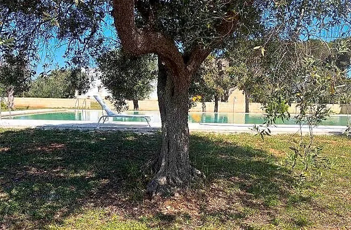 Tenute Masseria Notari Borgagne