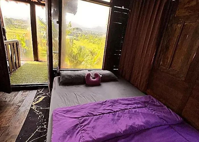 My Kubu
