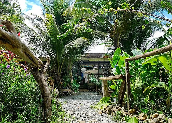 Surfhouse Pavones