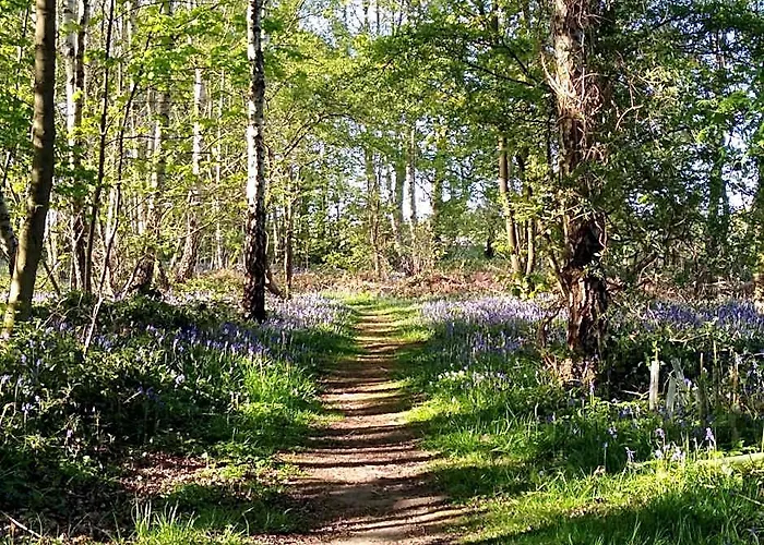 Hollicarrs - Long Lane Lodge