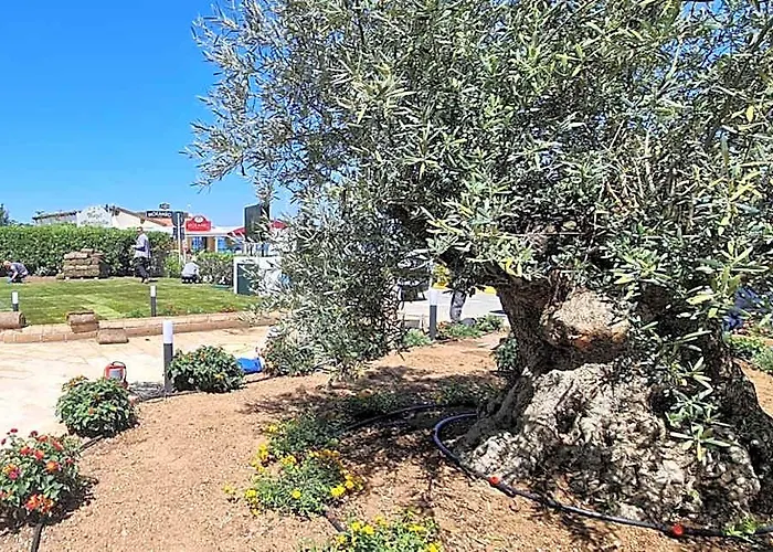 Hotel Levante - Isola D'Elba