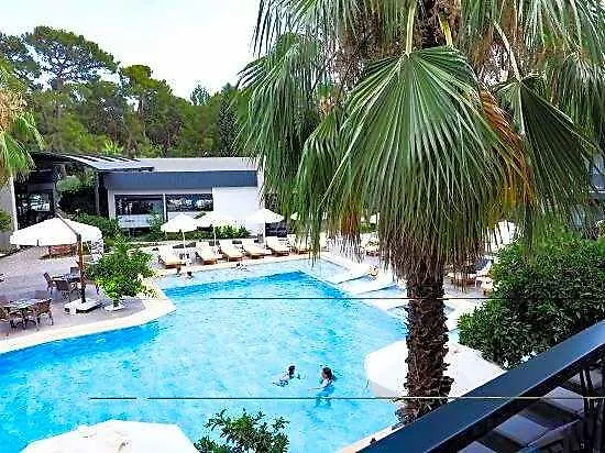 Forest In Hotel