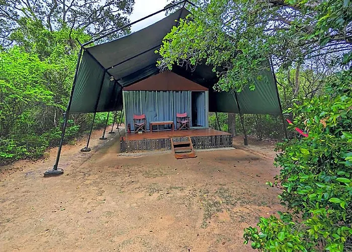 Yala Hotel Lion-Air Conditioned High Luxury Safari