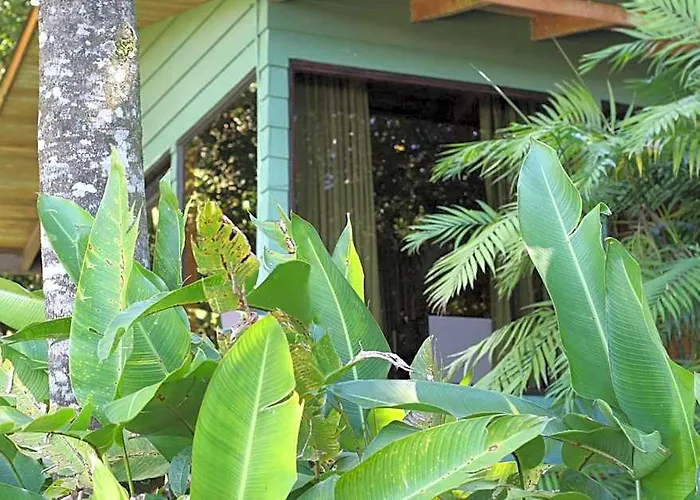 Hotel Flor De Bromelia