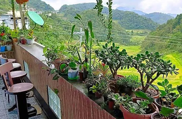 Banaue Greenfield Inn And Restaurant