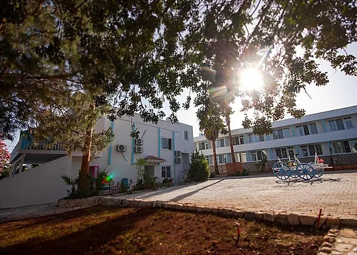Mojo Otel Beach