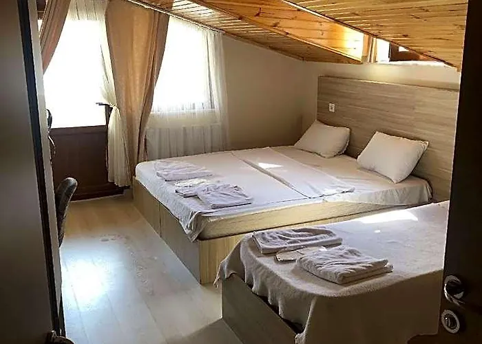 Agva Rex Hotel
